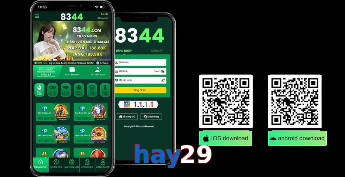 hay29
